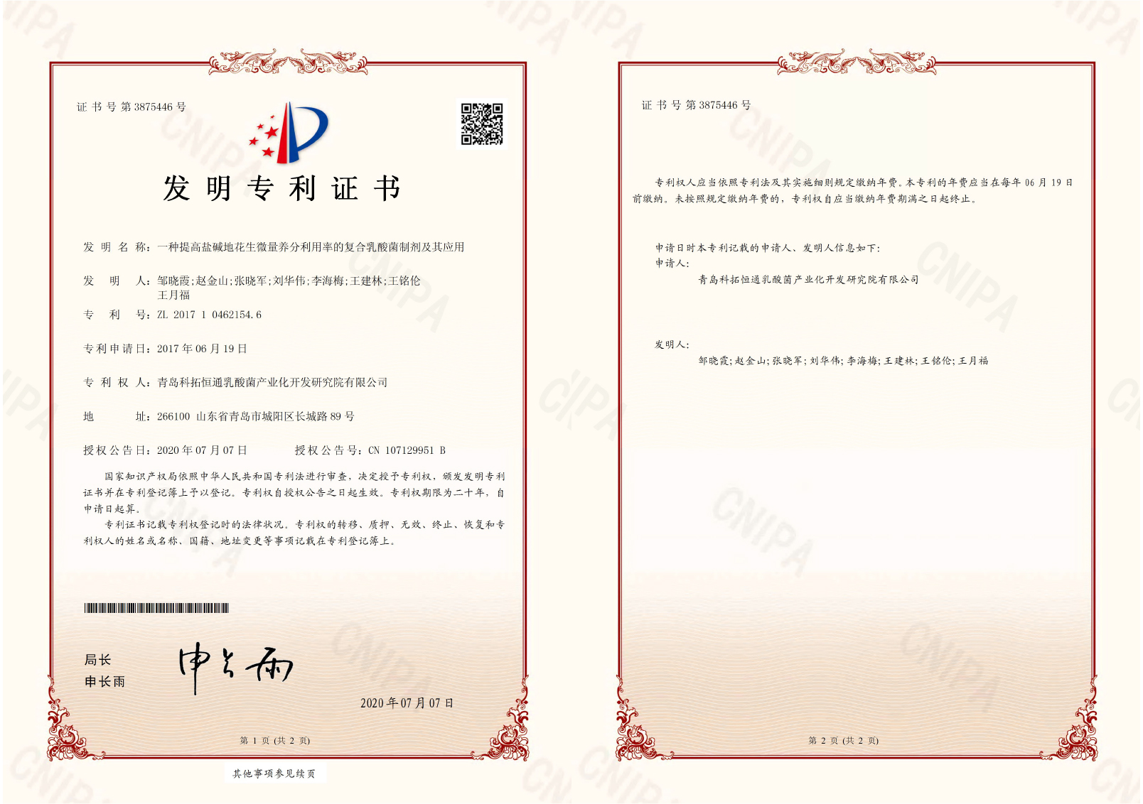 一种提高盐碱地花生微量养分利用率的复合乳酸菌制剂及其应用