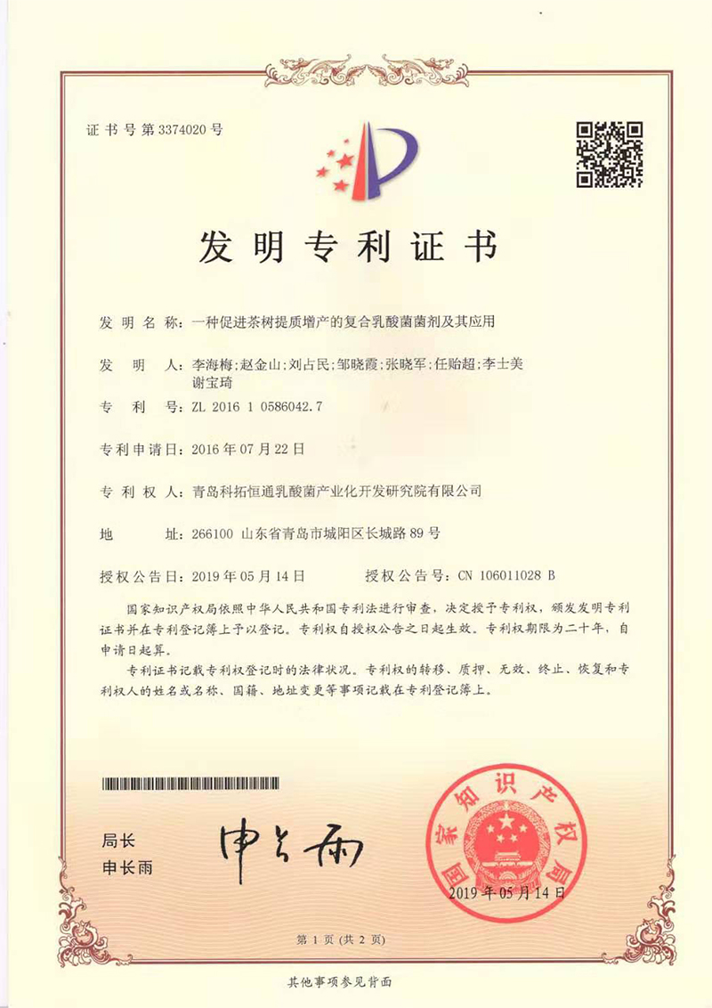一种促进茶树提质增产的复合乳酸菌菌剂及其应用