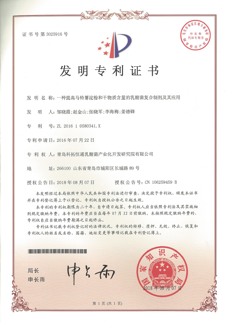 一种提高马铃薯淀粉和干物质含量的乳酸菌复合剂及其应用